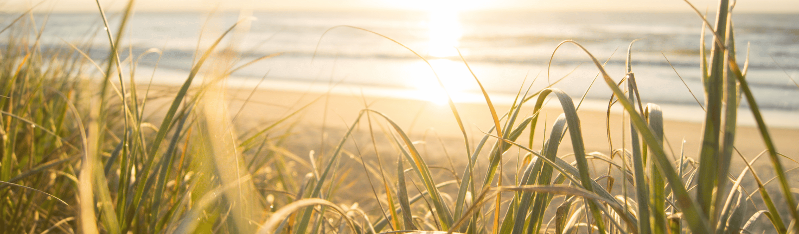 Strand an der Ostsee